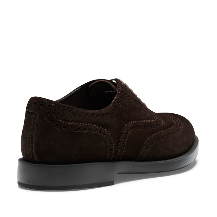 Francesina brogue in suede da uomo color cacao